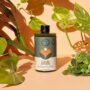 Grow Concentrate – We The Wild – 8 fl oz